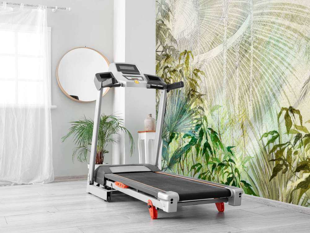 Drivhus med tropiske planter