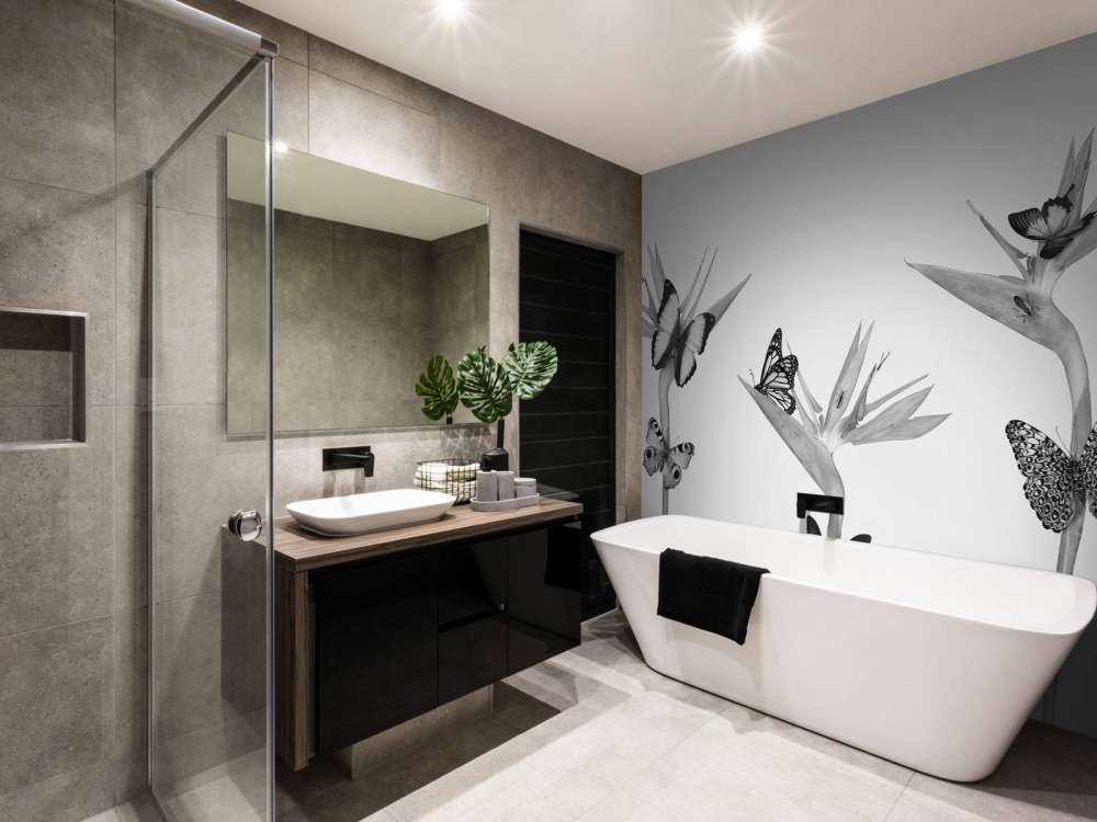 Sommerfugler på paradisfuglblomster