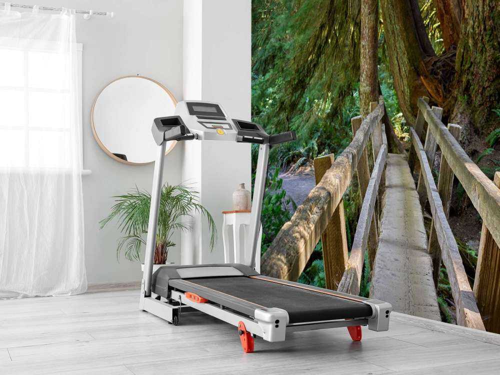 Trebro gjennom skogen