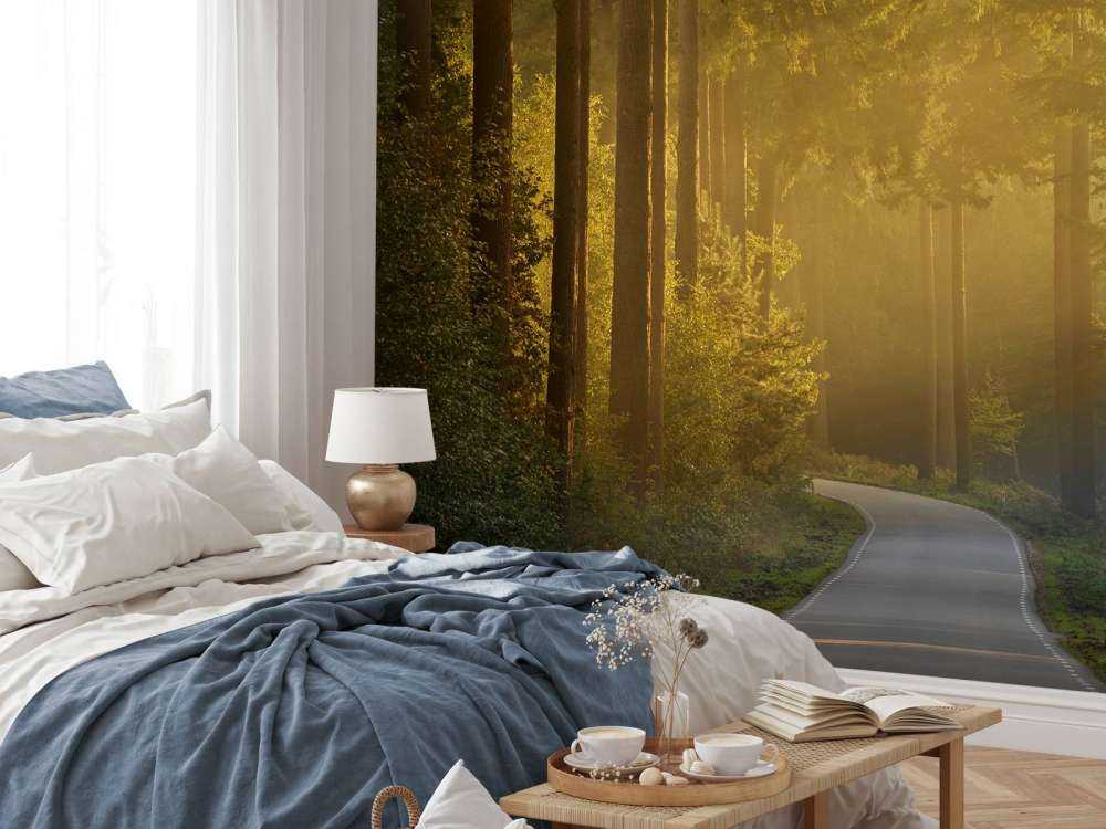 Soloppgang på vei gjennom skogen