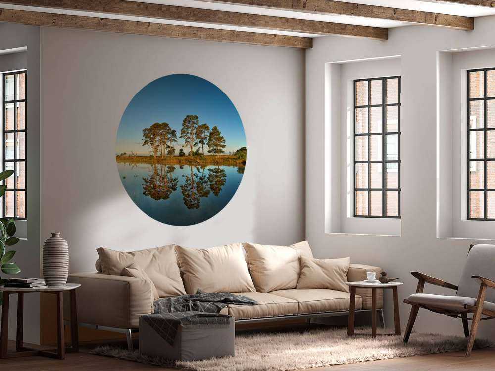 Refleksjon i skogsjøen