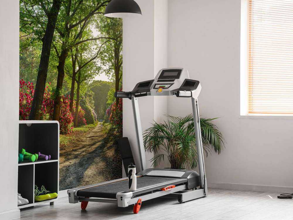 Soloppgang med sti med rododendroner