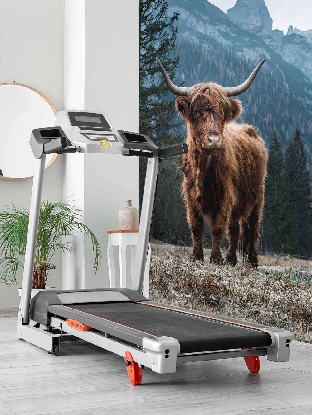 Det skotske høylandet blant trærne