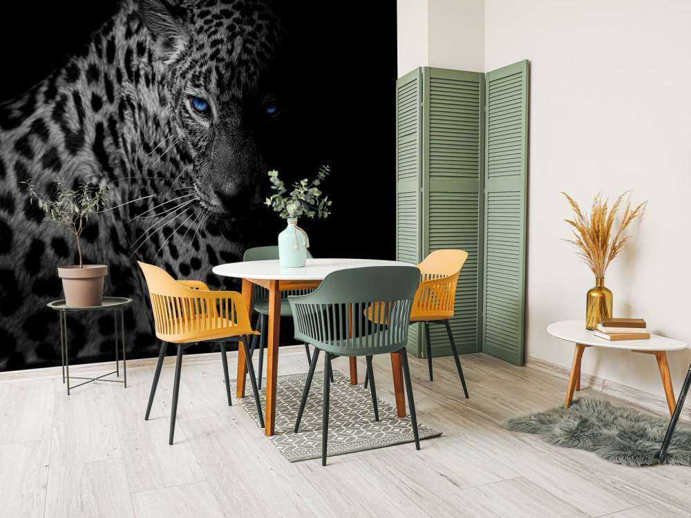 Leopard på svart tapet