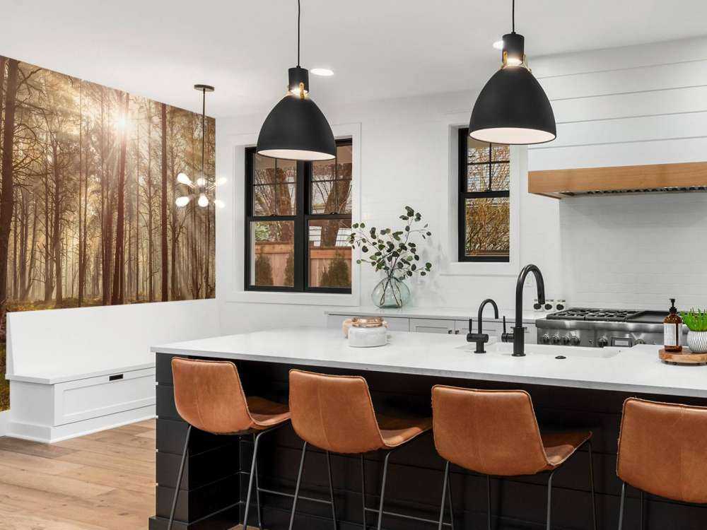 Skog med høye trær