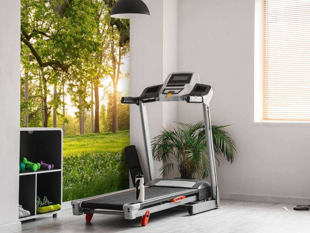 Åpen plass i skogen