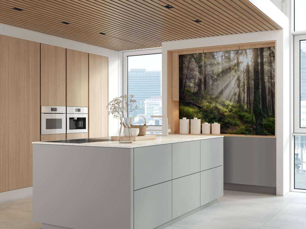 Høstskog med solskinn