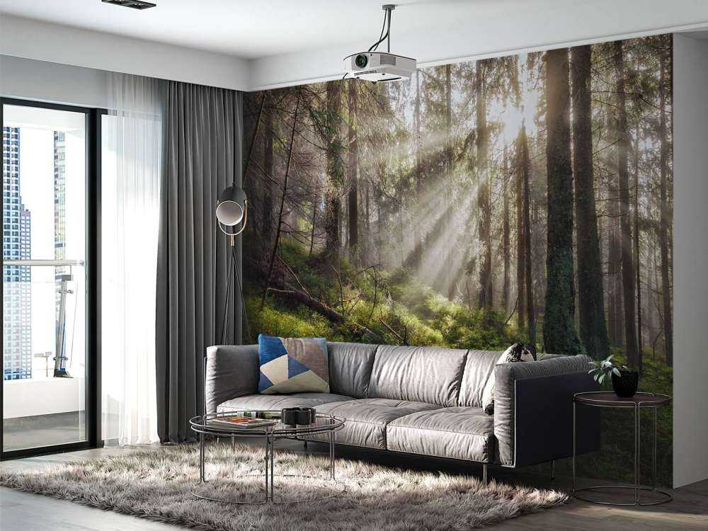 Høstskog med solskinn
