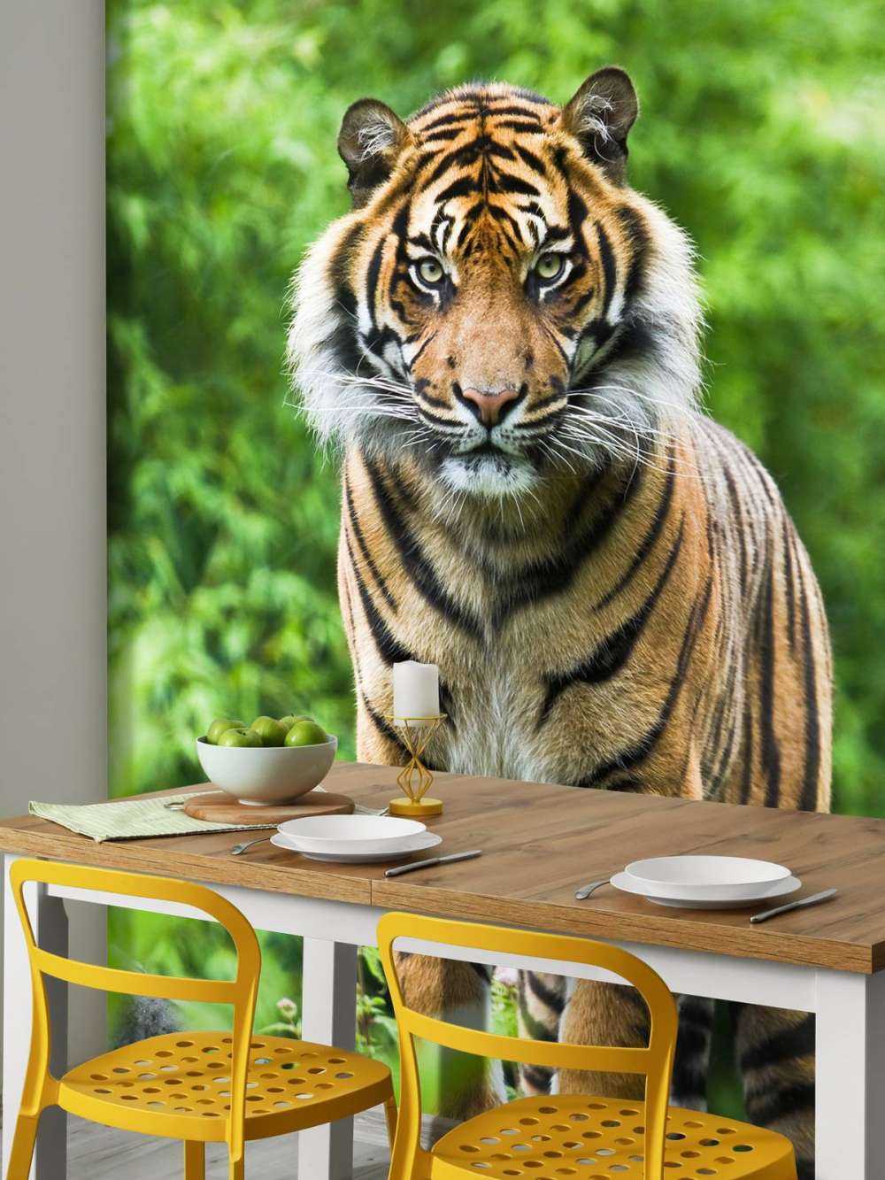 Tiger som står på en stein