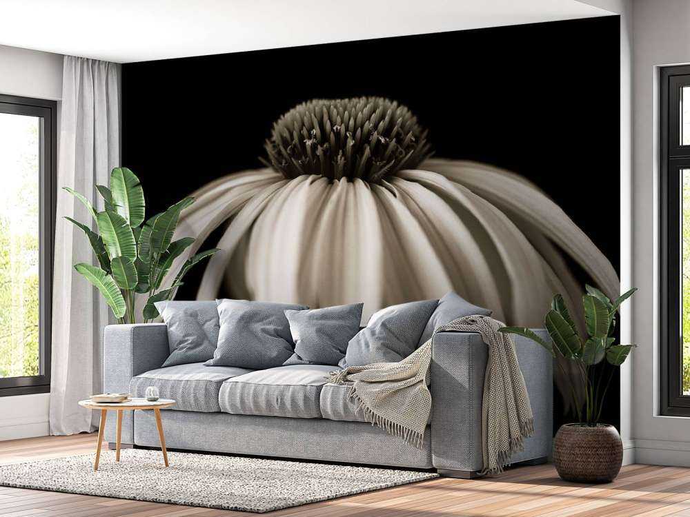 Kjegleblomst nærbilde