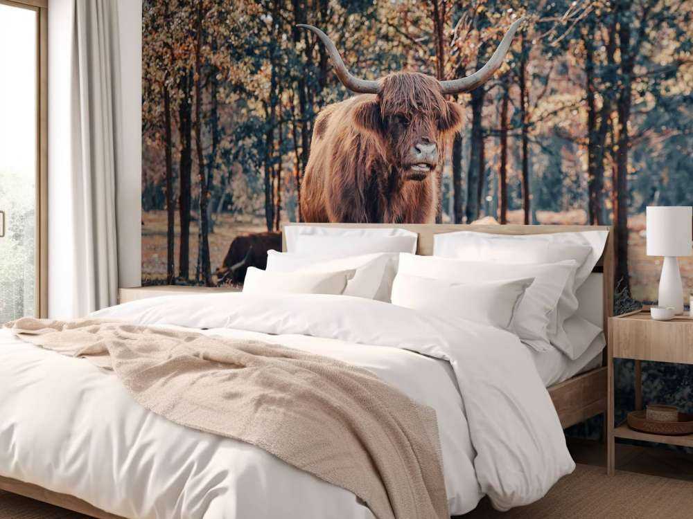 Skotsk høylander i utkanten av skogen