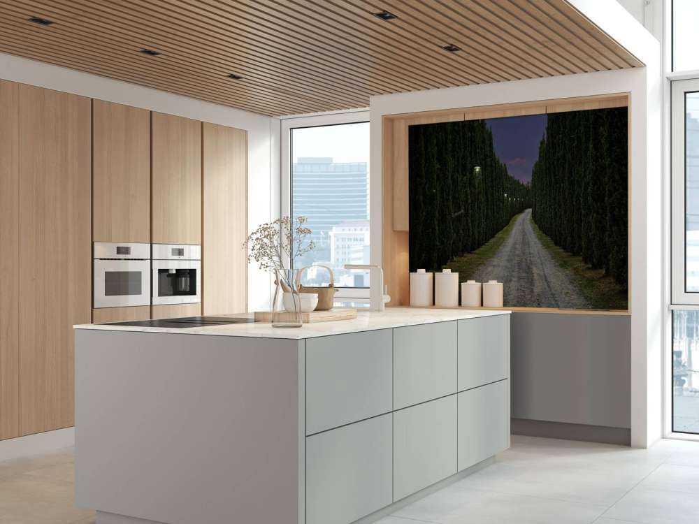 Cypress om kvelden