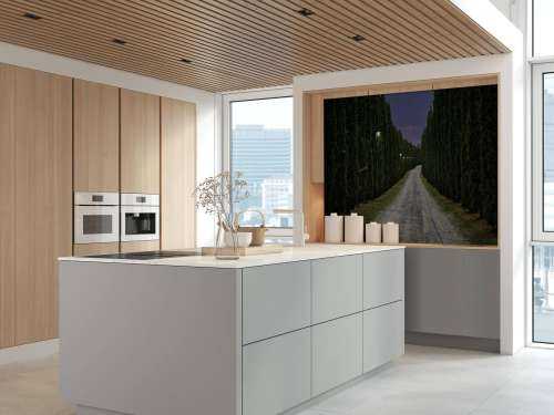 Cypress om kvelden