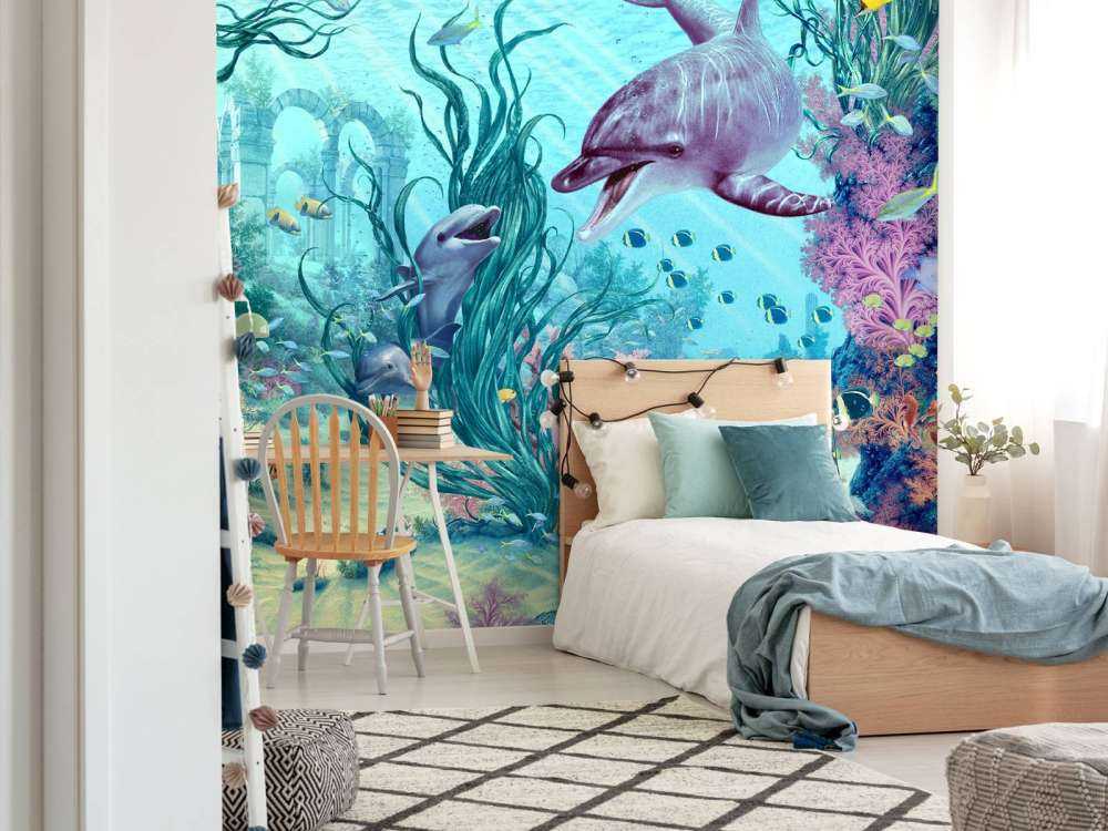 Hide And Seek Dolphins