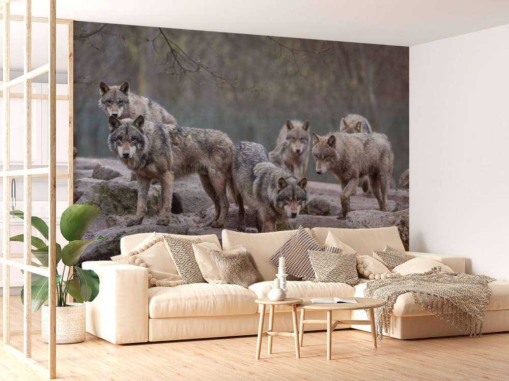 Skogvoktere Skumring