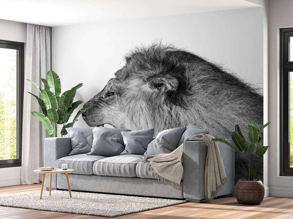 Brølende løve hvit