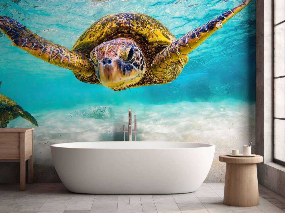 Havssköldpadda i havet