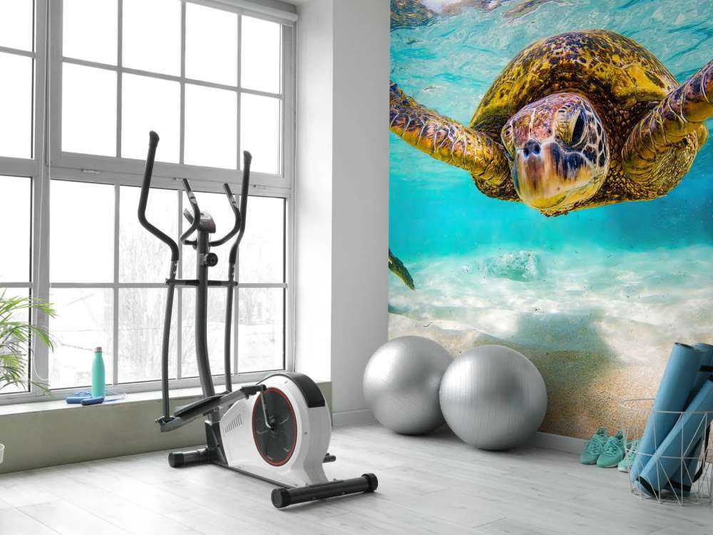 Havssköldpadda i havet