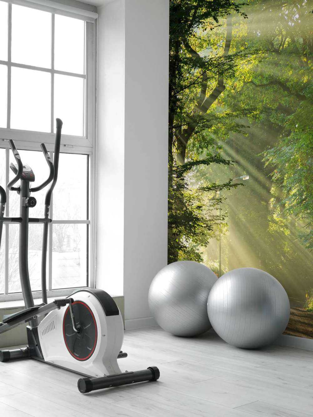 Solstrålar genom träden