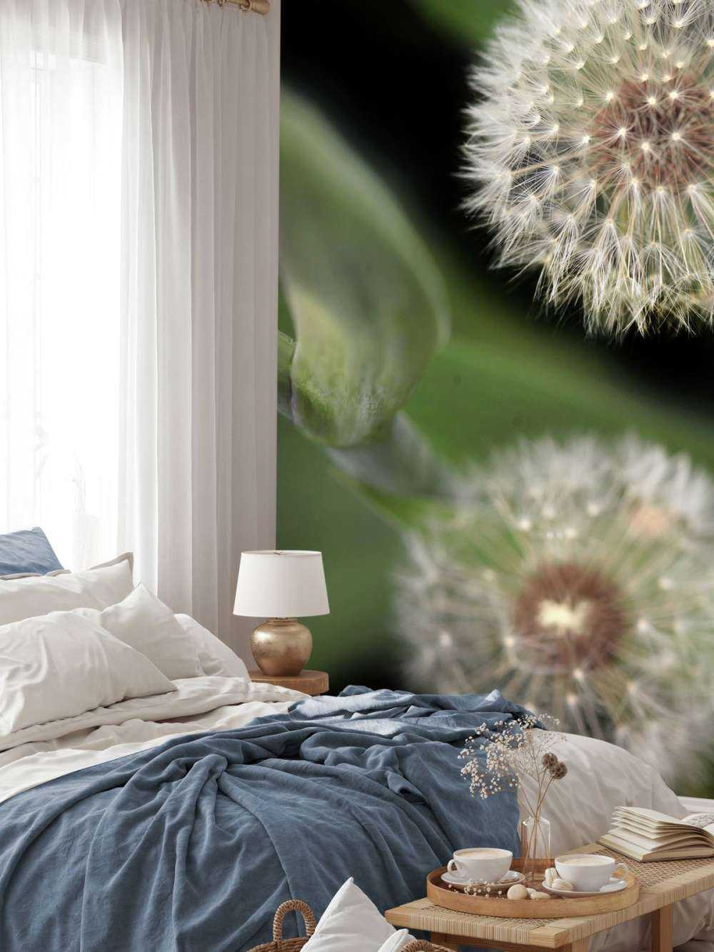 Närbild av maskrosor