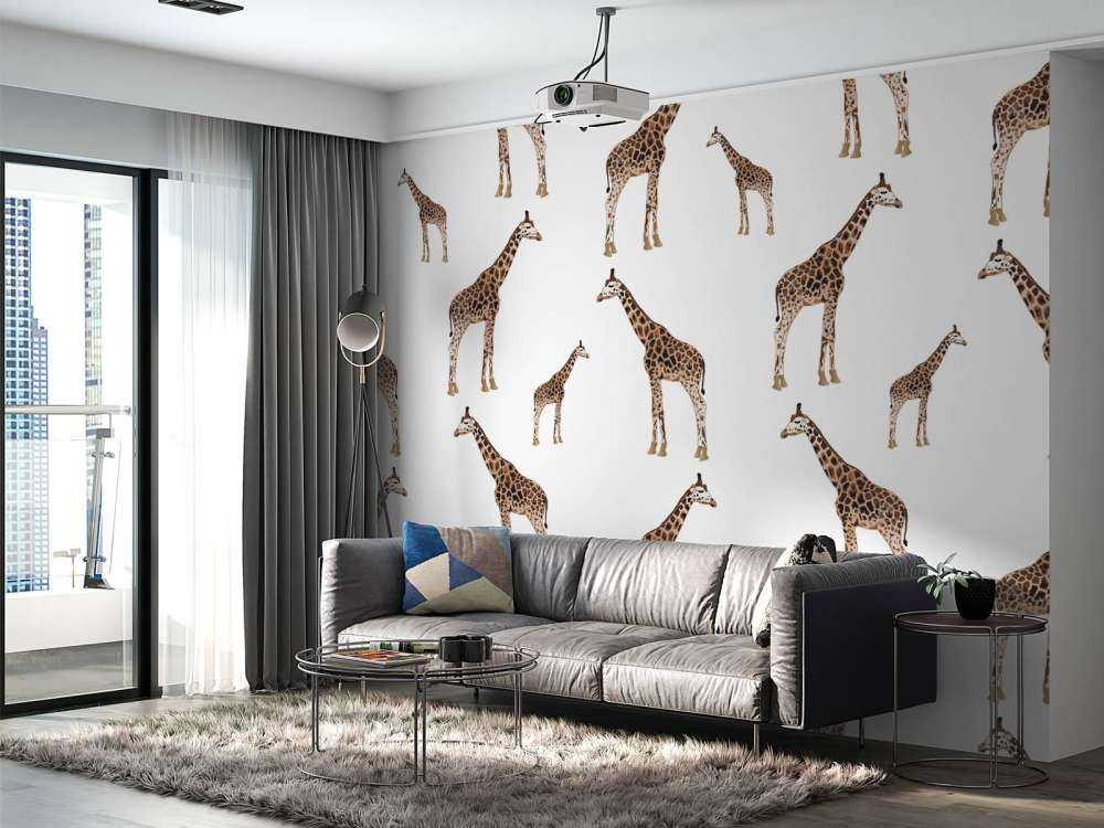 Giraffer