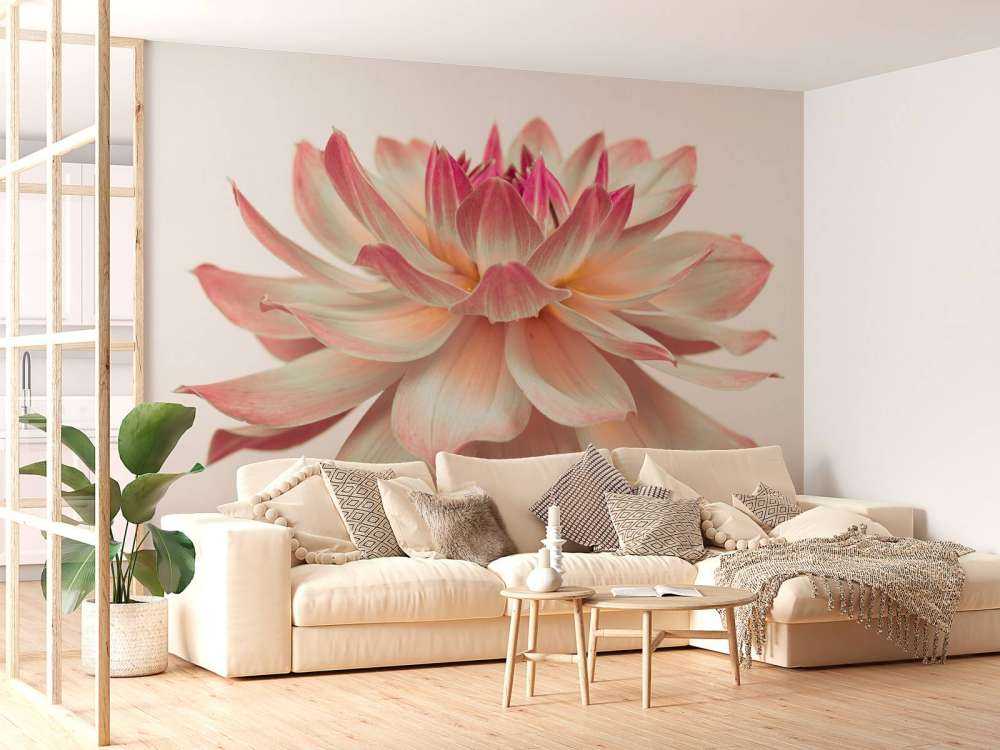 Dahlia blomma