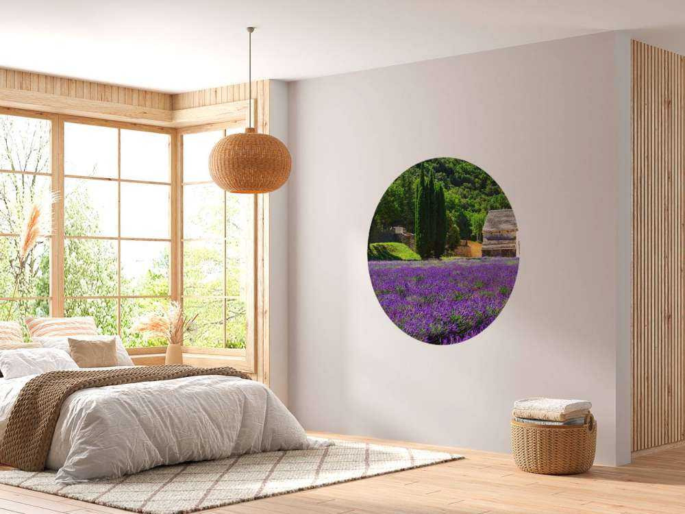 Fairy lavendelfält