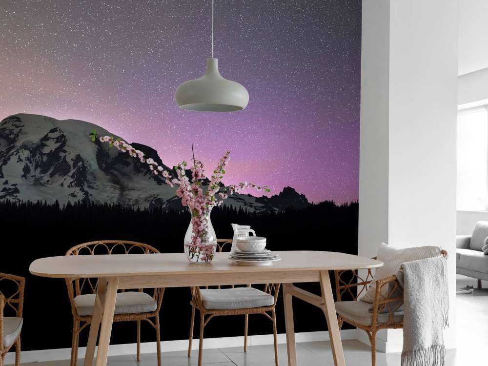 Mount Rainier med norrsken