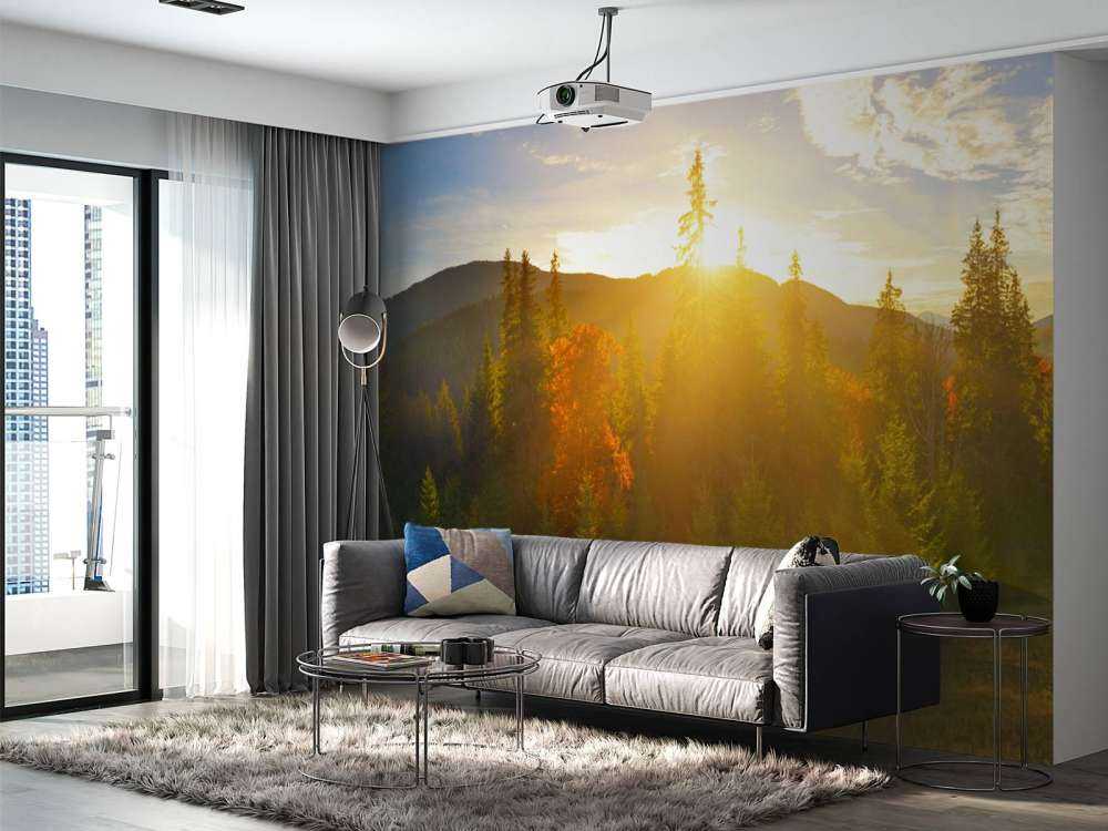 Tallskog panorama
