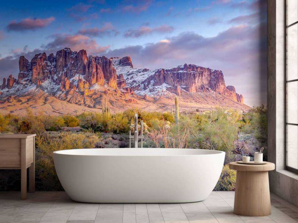 Kaktus i ett berglandskap