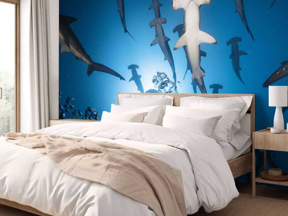 Hammerhead Shark