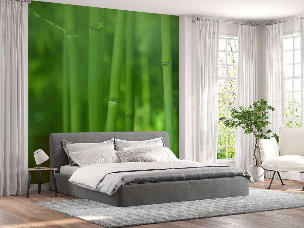 Bambu och blad