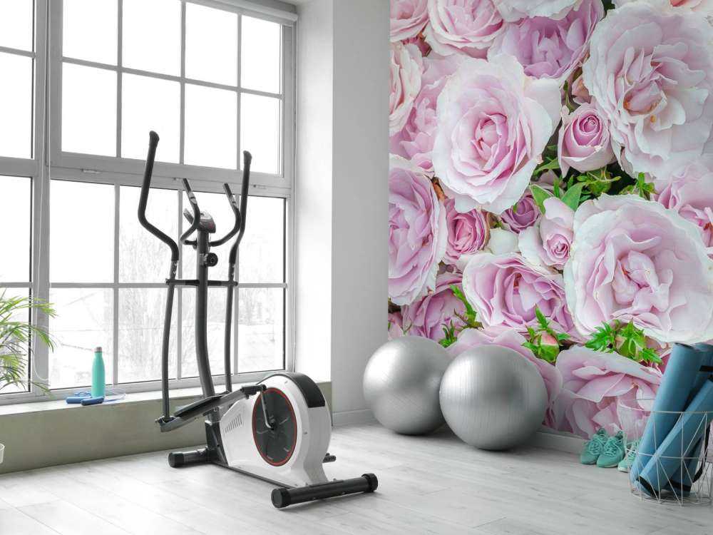 Färgglada vita och rosa rosor