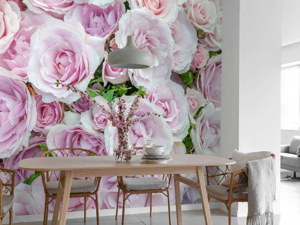 Färgglada vita och rosa rosor