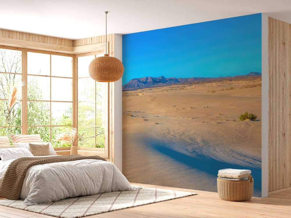 Soluppgång vid sanddyner