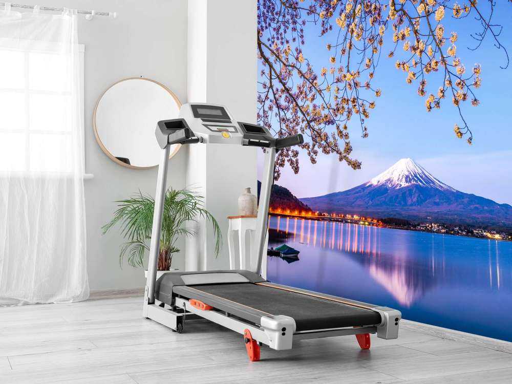 Mount Fuji vid vattenkanten