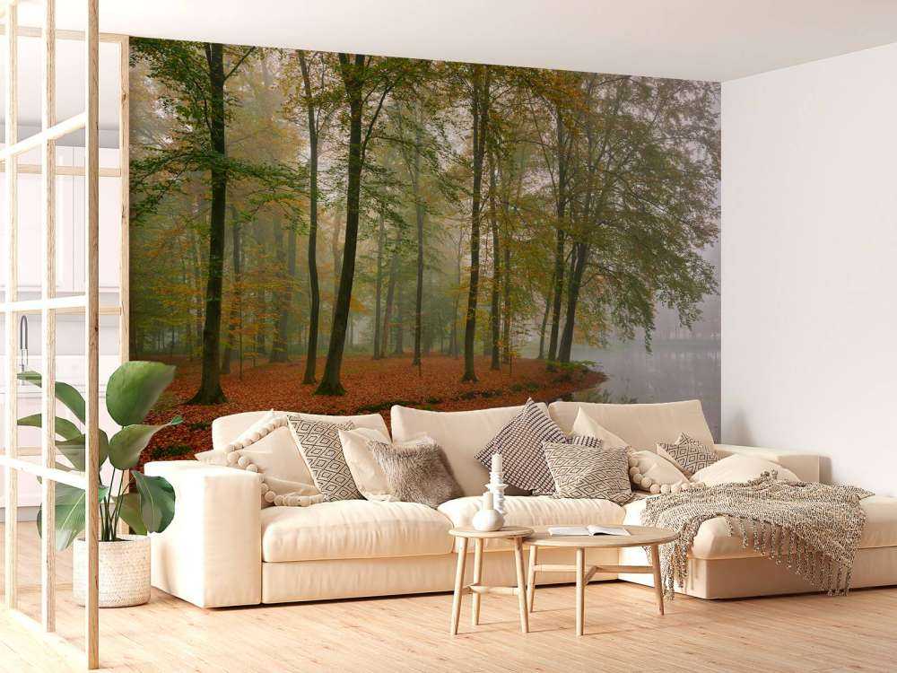 Trädens reflektion i en damm