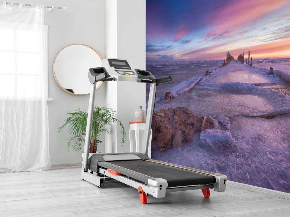 Stolphuvuden på det frysta Östersjön