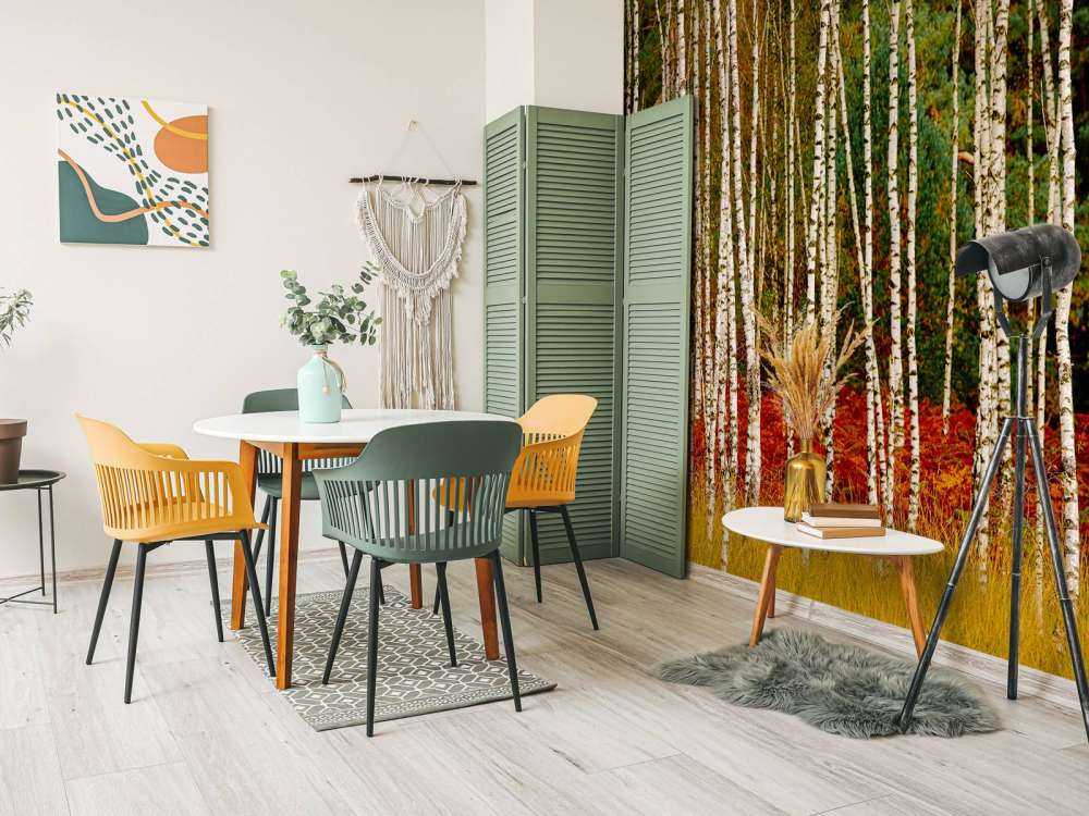 Björkträd i utkanten av skogen