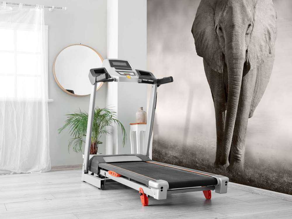 Vacker elefant