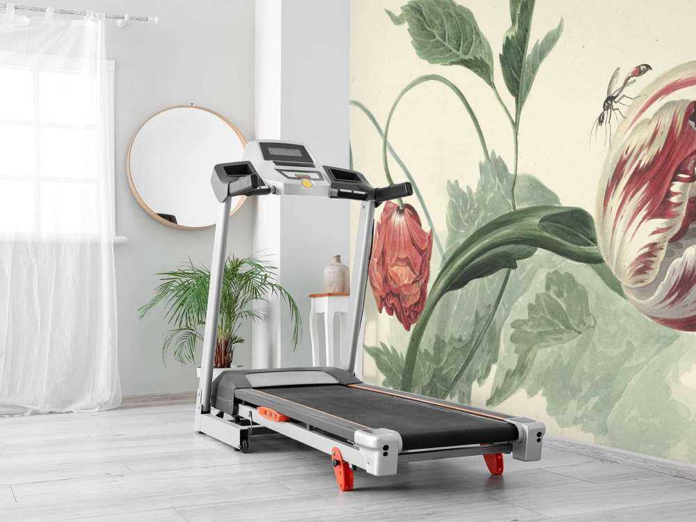 Tulpan och en vallmo, Willem van Leen