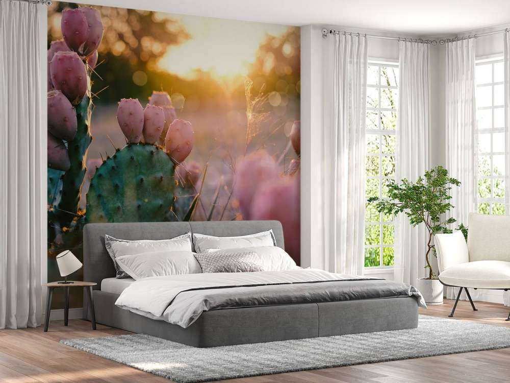 Kaktus med blommor