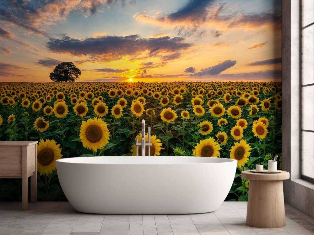 Fält fullt av solrosor