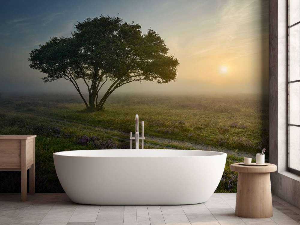 Soluppgång på heden