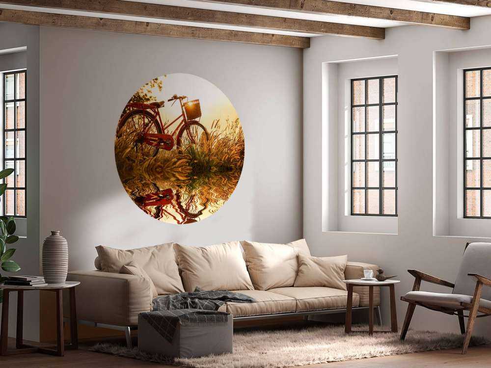 Cykel i solnedgången