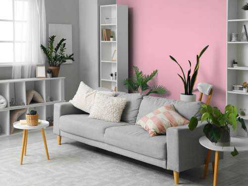 Cameo rosa