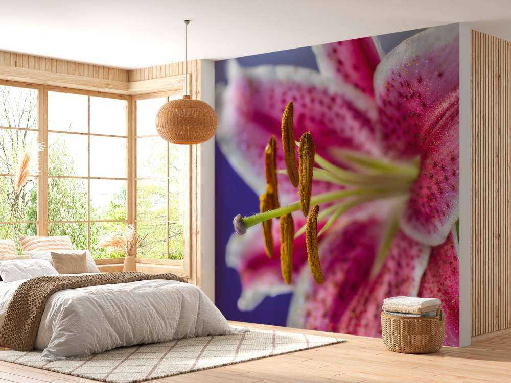 Nærbillede af lyserød blomst