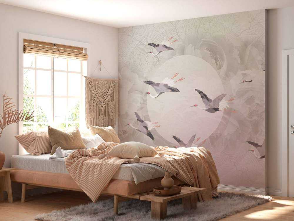 Serenity 6