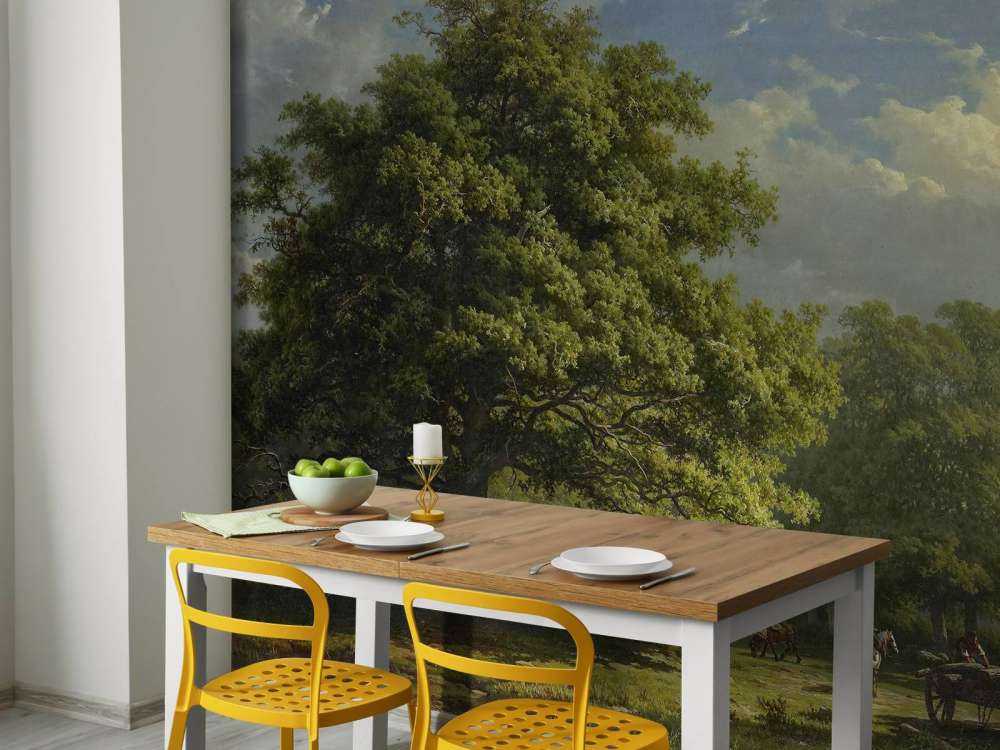 Udsigt over Bentheim skoven