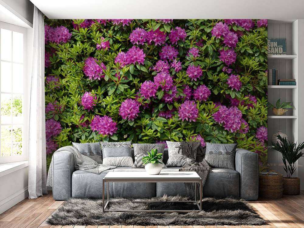 Rhododendroner